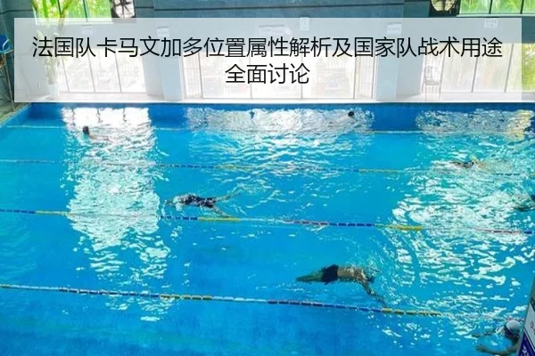 法国队卡马文加多位置属性解析及国家队战术用途全面讨论
